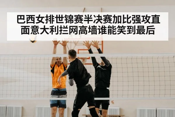 volleyball block net